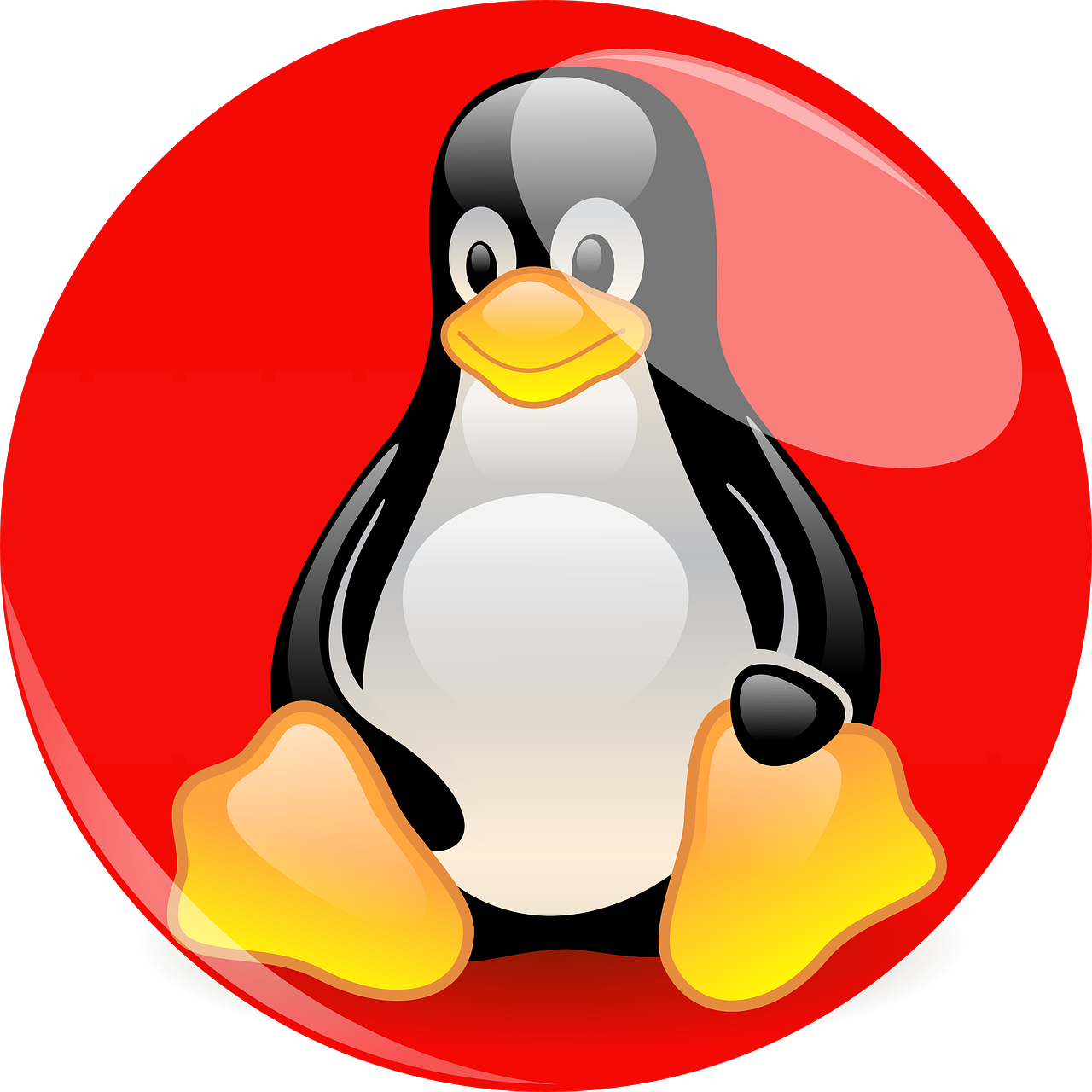 Tux the Linux penguin